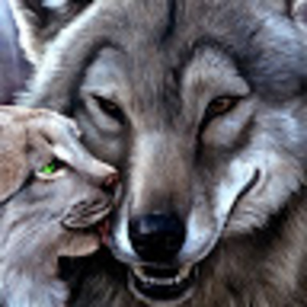 Meet your Posher, Soldier940